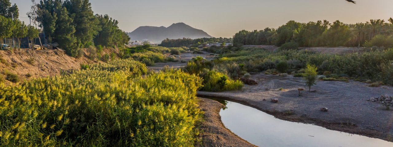 view of Medina's natural water resources surrounded by lush greenery, showcasing the region's environmental richness