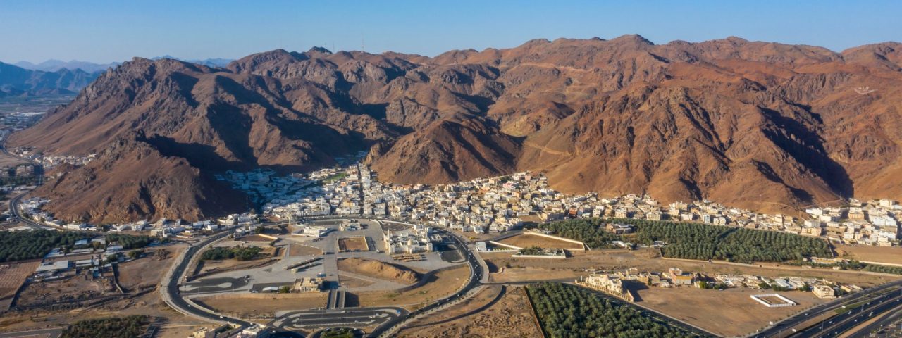 Panoramic aerial view of Medina's diverse natural landscape featuring expansive greenery and unique terrain